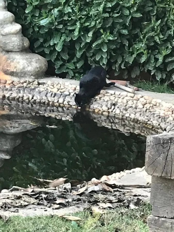 Bed & Breakfast 