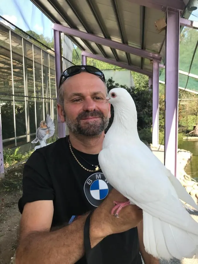 לינה וארוחת בוקר Cermenate 